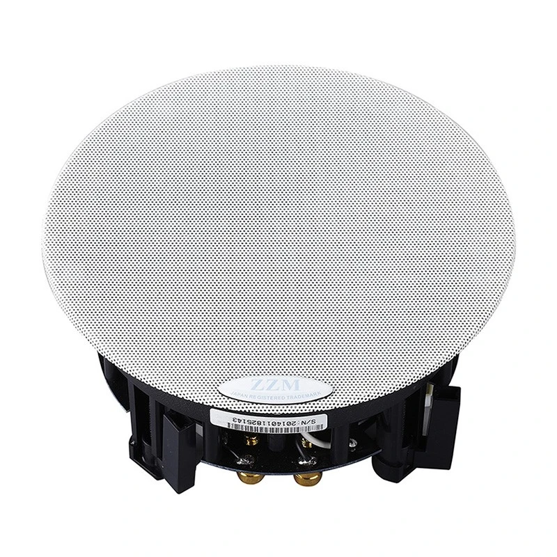 8 Ohms 35W Low impedance In ceiling speakers 2 8 Ohms 35W Low impedance In ceiling speakers 2